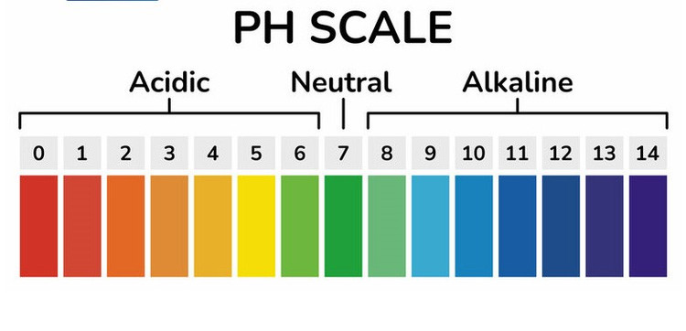 قیمت پودر افزایش دهنده PH آب